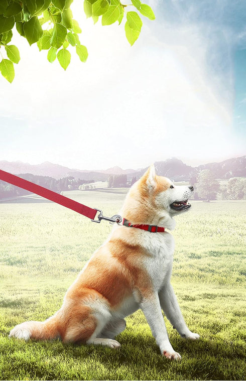 Long Dog/Puppy Lead 15ft 20ft 30ft 40ft 50ft, Obedience Recall Training Leashes for Small Medium Dogs, Red, 1" x 40FT
