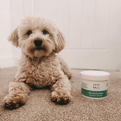 Pet Wiz Aloe Vera Eye Wipes for Cleaning Dogs & Cats, Extra Large