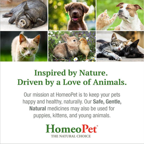 HomeoPet Skin and Itch Relief for Dogs and Cats, Natural Coat Soother, 15 Milliliters
