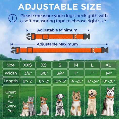 TECEUM Reflective Pet Collar – Orange L, Extra Soft Padding Basic Nylon Dog Collar with Quick Release Buckle