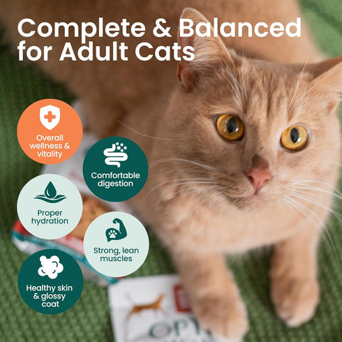 3oz (Pack 12) Optimeal Wet Cat Food Grain Free - Salmon & Tuna Tender Morsels, High Protein Premium Nutrition Made
