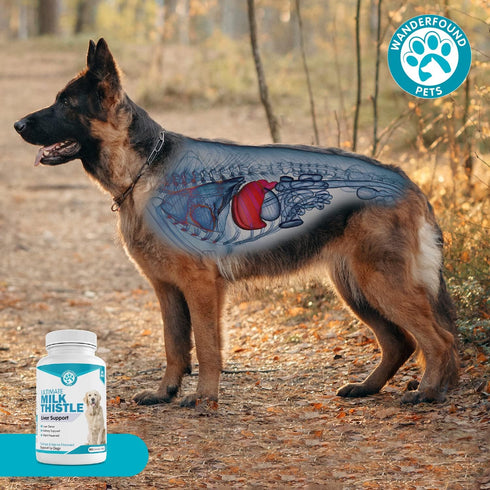Wanderfound Pets Milk Thistle for Dogs, Tasty Salmon & Bacon Flavored Natural Liver Support, 100 Chewable Tablets