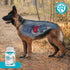 Wanderfound Pets Milk Thistle for Dogs, Tasty Salmon & Bacon Flavored Natural Liver Support, 100 Chewable Tablets