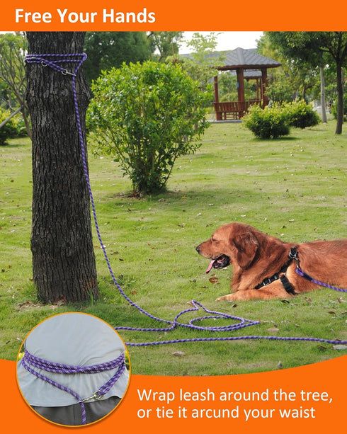 Long Dog Leash for Training 10FT/16FT/30FT/50FT/100FT, Reflective Threads Check Cord for Dogs