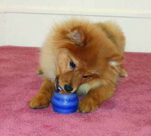 Starmark Everlasting Treat Ball Toy, Small, Blue