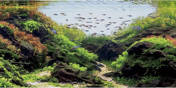 AWERT 36x20 inches Stone Aquarium Background, Aquatic Plant River Bed & Lake Seaweed Vinyl