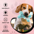 Dog Diggin Designs Runway Pup Collection, Unique Squeaky Parody Plush Dog Toys, Dog Bones, Balls & More