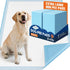 BESTRIPES Extra Large Dog Pee Pads 31x47 Inch - Heavy Duty 6-Layer Leak-Proof,