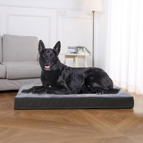 Amazon Basics X-Large Gel Foam Mattress Dog Pet Bed with Removable Cover, Grey, 41"L x 29"W x 4"H