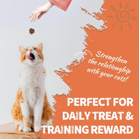 16 OZ Just Try Probiotic Cat Treats Support Gut Health Chicken Flavor Healthy Cat Snacks Training Biscuits (Probiotic)