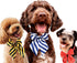 Segarty 50pcs Dog Bow Ties, Adjustable Bowtie Collars for Small Medium Dogs, Cute Neckties for Pet Grooming