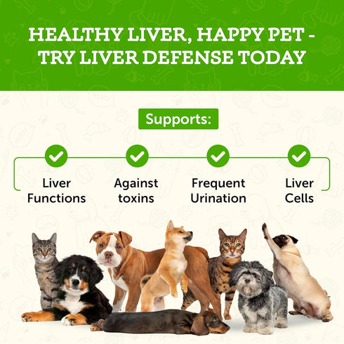 Animal Essentials Liver Defense for Dogs & Cats, Liquid Supplement for Liver Support, 2 Fl Oz