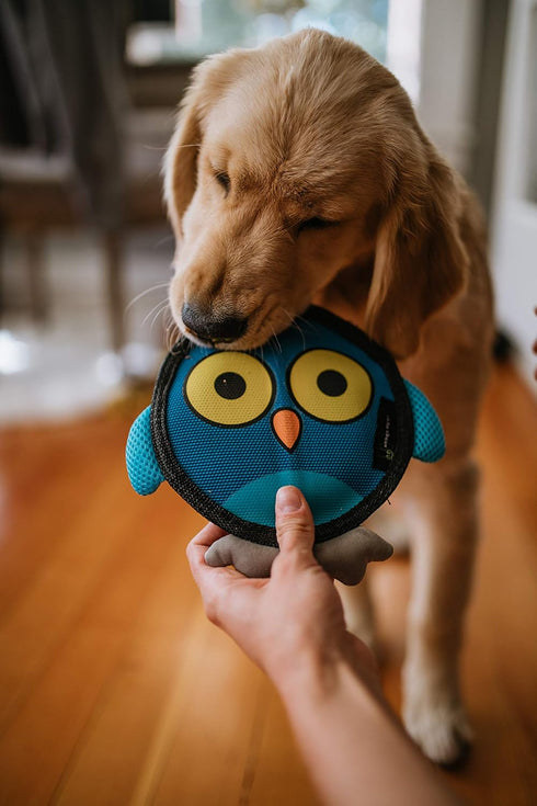 Hyper Pet Firehose Flyers Owl Durable Squeaky Dog Toy, Grey, 7.5 x 1.2 x 8.2 inches