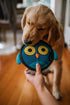 Hyper Pet Firehose Flyers Owl Durable Squeaky Dog Toy, Grey, 7.5 x 1.2 x 8.2 inches