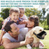 WONDAY Nylon Dog Muzzle for Small Medium Large Dogs, Breathable Lightweight Mesh