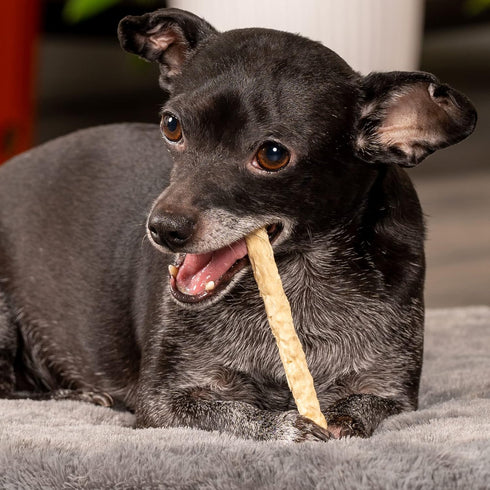 Pet Factory American Beefhide 5" Munch Mini Rolls Dog Chew Treats - Natural Flavor, 40 Count/1 Pack