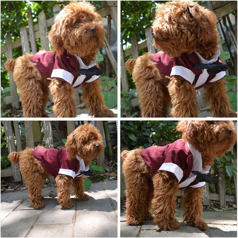 Lovelonglong Formal Dog Suit Tuxedo with Black Bow Tie for Large Medium Small Dogs Cats, Wedding Clothes, Reddish Brown