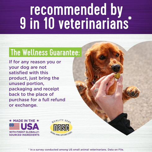 45 Count Wellness Pumpkin Patch Flavored Soft Chew Digestive Health Supplements for Dogs