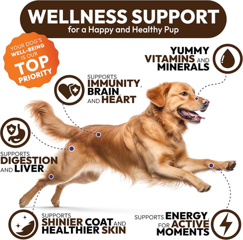 170 Immune Turkey Tail Mushroom for Dogs - Chews - Lions Mane - Shiitake - Reishi - Buddy Support Guard - Mushroom