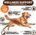170 Immune Turkey Tail Mushroom for Dogs - Chews - Lions Mane - Shiitake - Reishi - Buddy Support Guard - Mushroom