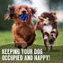 Fillable Treat Ball for Dogs, 1.5" Puppy Puzzle Balls for Teething Dogs - 6 Pack for Small Breeds