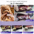 Breeds.100g Dog Dental Cleaning Powder - Probiotic Dental Care freshens Breath, Controls Plaque, and removes Tartar.