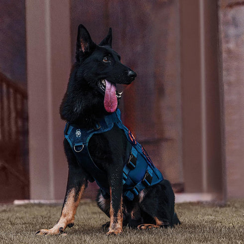 OneTigris Tactical Dog Harness for Small Dog - Breathable Military Dog Molle Vest with Handles for Walking, Hiking