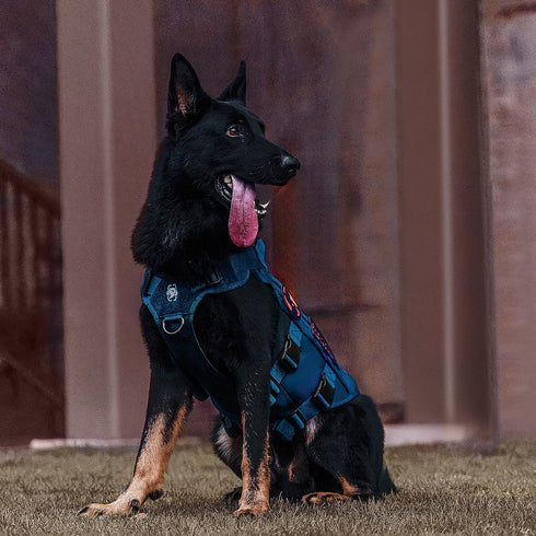 OneTigris No Pull Tactical Dog Harness, Mesh Design Vest for Small Medium Dogs, Breathable Military Molle with Handles