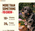 (6 Inch, 4 Pack), 100% 50% Natural Farm Jumbo Bully Sticks Odor Free, Extra-Thick Dog Chews - Fully Digestible Beef