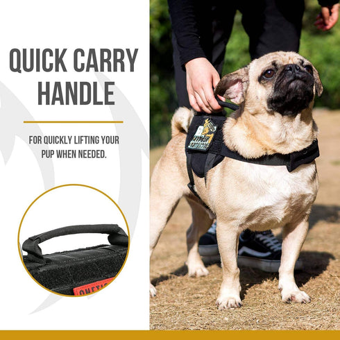 OneTigris Tactical Puppy Harness with Handle, Military Vest for Small Dogs, Easy Control Training Walking Outdoor.