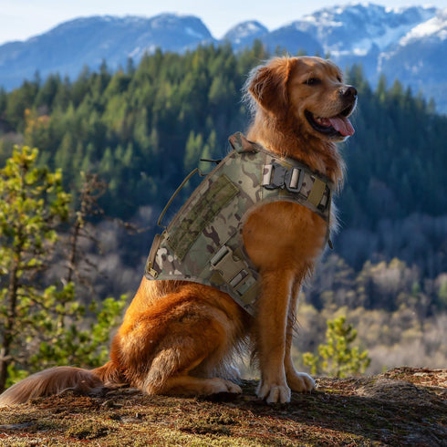 Tactical Dog Harness for Medium and Large Dogs - No Pull Adjustable Vest for Training, Hunting, Walking with Handle