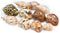 Florida Shells and Gifts Inc. 11 Shell Hermit Crab Changing & Growth Set - Medium Size Seashells