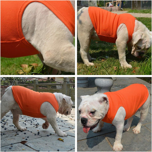 Lovelonglong 2019 Summer Pet Clothing, Dog Blank T-Shirts, Ribbed Tanks for Large Medium Small Dogs (100% Cotton,