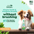 2oz. TropiClean Fresh Breath Dog Toothpaste for Teeth Cleaning, Breath Freshener, Easy Plaque & Tartar Remover Gel, No