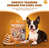 2.5" 16oz, Havira Training Treats for Small Dogs, Mini Rawhide Chews, Chicken Wrapped Dumbbells Chicken Rice Flavor