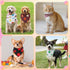 100 Sweetude Pcs Polka Dot Dog Bandanas Bulk Dog Triangle Scarf Pet Bibs Adjustable Cat Outfit Washable Cat Accessories