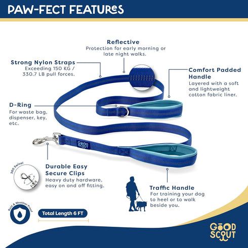 Good Scout Padded Handle Dog Leash - Durable Walking & Training Leash for Puppies & Adult Dogs, Blue/Sky