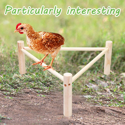 14PCS Chicken Toys for Coop Accessories - Longer Chain Chicken Swing, Chicken Toy for Hens in Coop, Chicken Perch