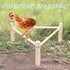 14PCS Chicken Toys for Coop Accessories - Longer Chain Chicken Swing, Chicken Toy for Hens in Coop, Chicken Perch