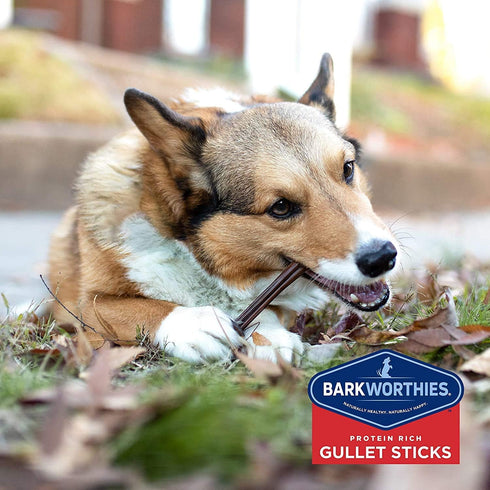 Barkworthies 2 12 Beef Gullet Sticks - pk of - Natural, Chewy, Grain Free Dog Treats - Long Lasting Dog Chew - Dental