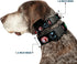 Buckle-Down Dog Collar Plastic Clip Buckle, 9-Avenger Icons Black/Multi Color, 1" x 15-26 Inches