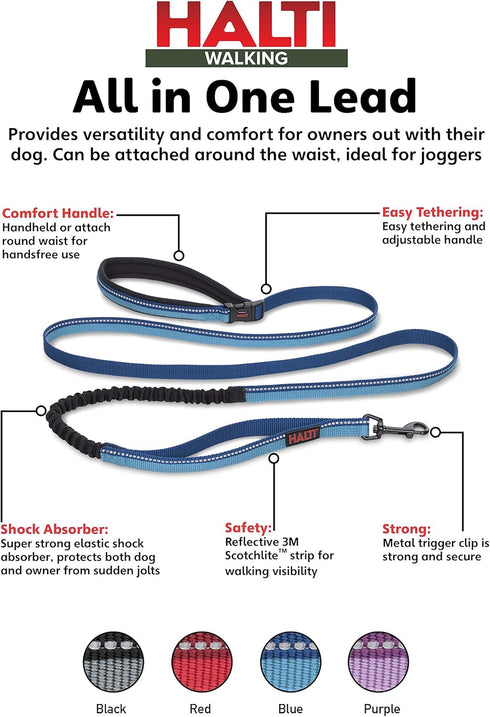 HALTI Active Leash, Award-Winning Bungee Dog Leash with Neoprene Padded Belt & Lead for Medium & Large Dogs, Blue