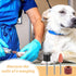 96 Set Trimmer (100 Kajaia Pcs Dog Nail Grinder Replacement Kit Sanding Drum with Grit Sanding Bands Pet Smoother Claw