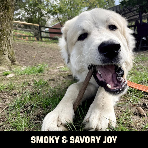 Hickory Smoked Beef Stick Dog Treats 15-Pack by Barkworthies USA - All Natural Smoked Crunchy Treats