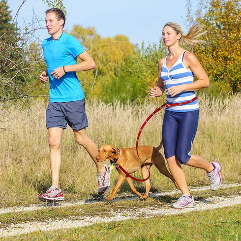 Hands Free Dog Leash Training Lead Double Snap Grommet Adjustable, Large 1" x 7.5’ Red