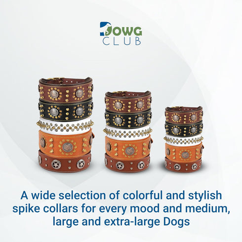Punk Series Genuine Leather Dog Collar | Full Grain, Heavy Duty, Stylish, Comfortable for Medium, Large, XL Breeds (L)