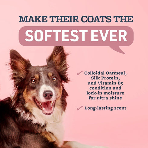 2 17 Oz Veterinary Formula Moisturizing Ultra Oatmeal Shampoo & Conditioner Bundle for Dogs & Cats with Colloidal