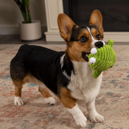 goDog PlayClean Germs Squeaky Plush Dog Toy, Green, Small with Chew Guard Technology