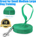 12 Pieces Long Training Leash for Dogs - Bulk Nylon Puppy Chain Leash for Small Medium Large Dogs