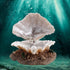 Acouto Aquarium Bubbler Decor, Aquarium Decoration Coral Reef Aerating Action Ornament Fish Tank Shell Pearl Bubbler Decorations, Air Stone Bubble Tropical Clam Ornament